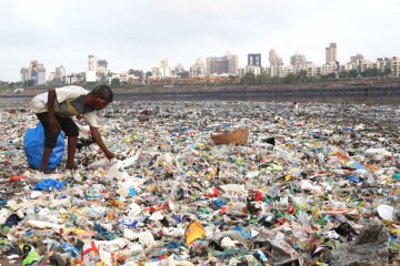 India Bans Imports of Waste Plastic to Tackle Environmental Crisis